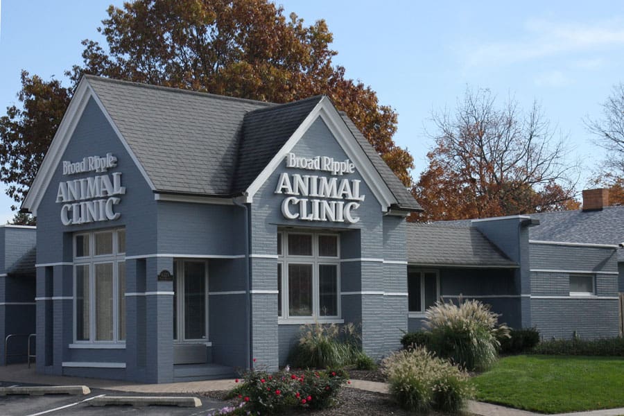 veterinarian and animal hospital in indianapolis, in