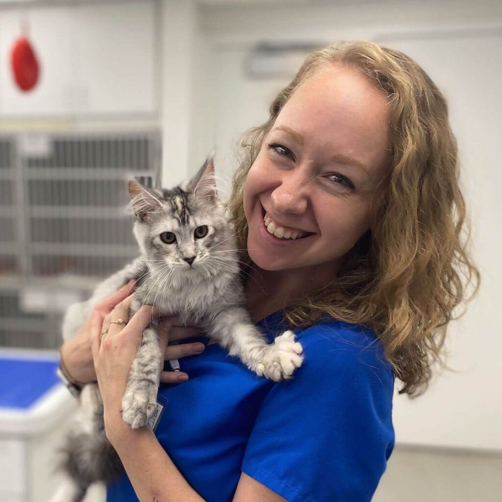 Laser Therapy for Dogs & Cats in Indianapolis, IN Broad Ripple Animal