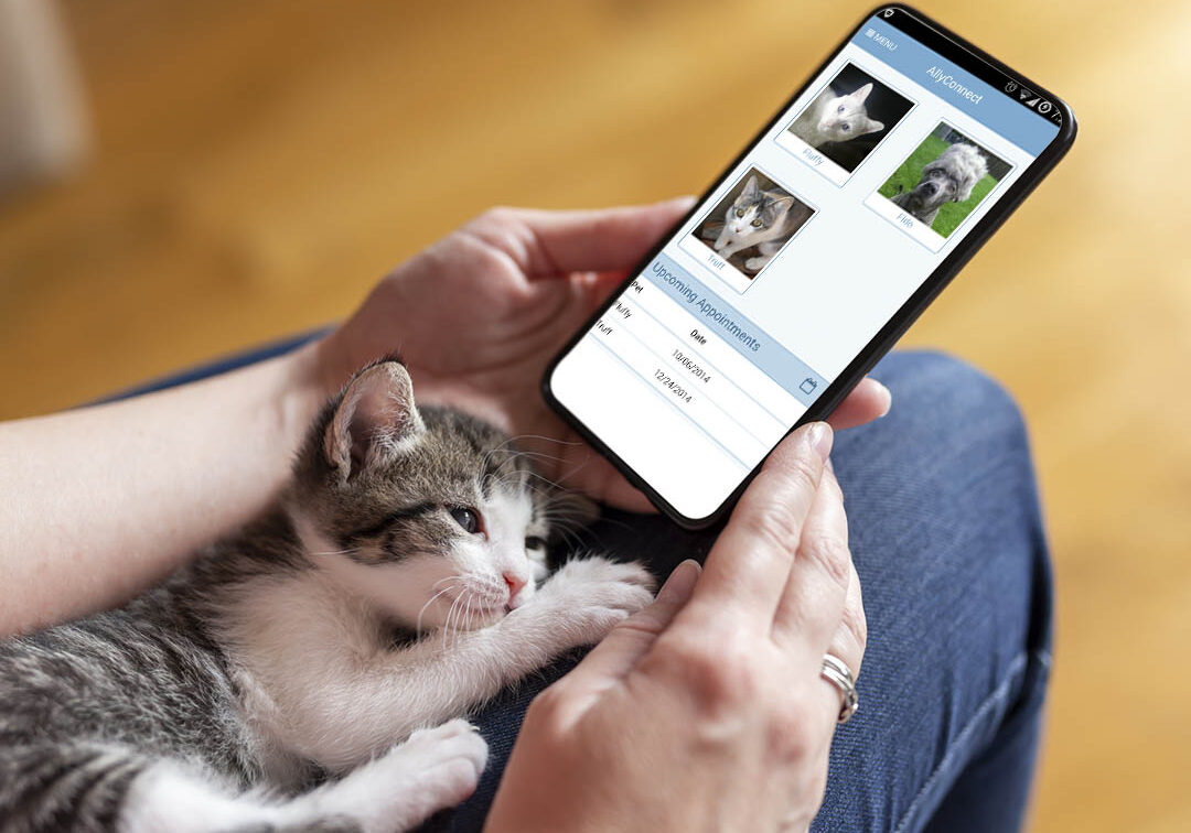 download our free app for pets in Indianapolis, IN