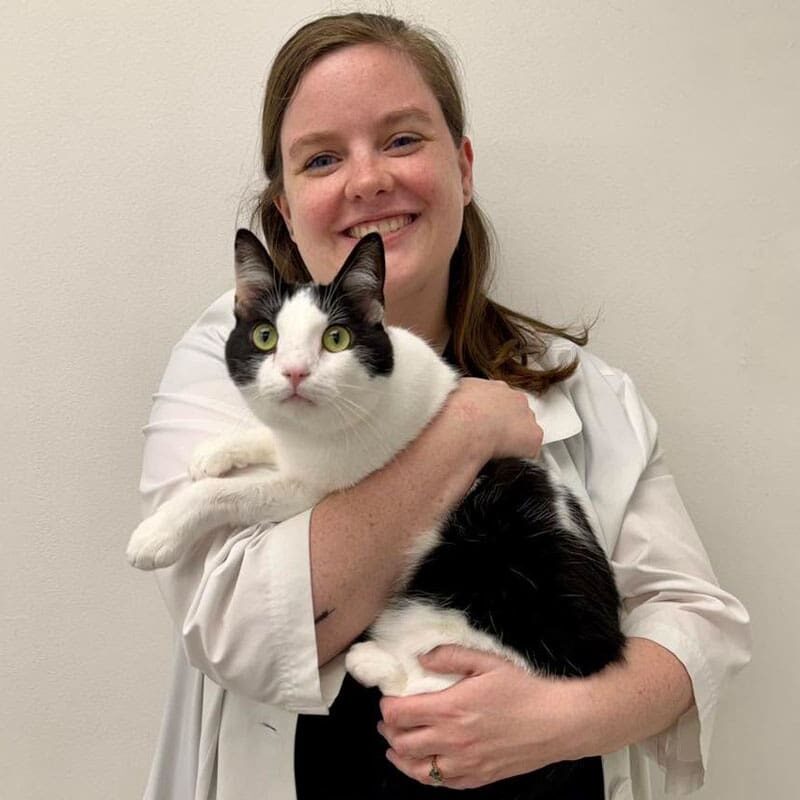 female veterinarian smiling while holding black and white cat in arms